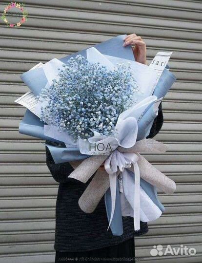 Букет гигант гипсофилы