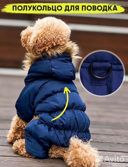 Зимний комбинезон для маленькой собаки