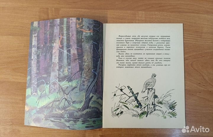 Книга детская В тайге 1988