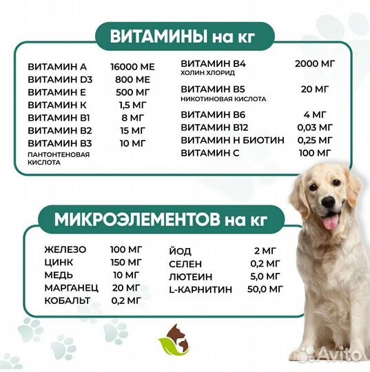 Сухой корм для собак