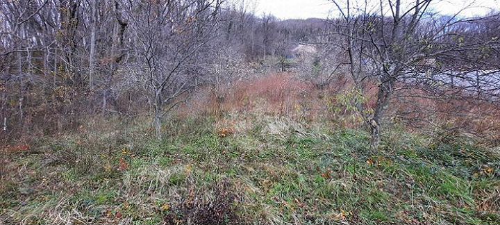 Участок 7 сот. (ИЖС)