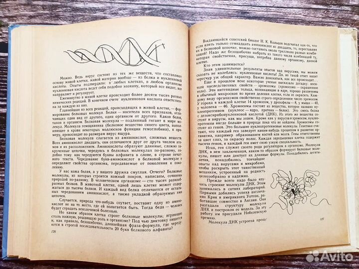 Ивин. Некто или нечто 1969 г