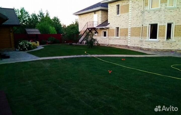Рулонный газон с доставкой