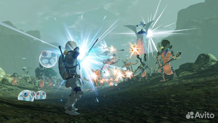 Hyrule Warriors Age of Calamity Nintendo Switch