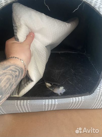 Будка для собаки/кошки мягкая