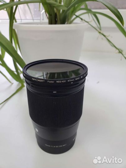 Sigma AF 16mm f/1.4 DC DN Sony E