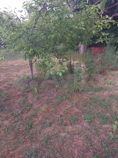 Участок 6 сот. (СНТ, ДНП)