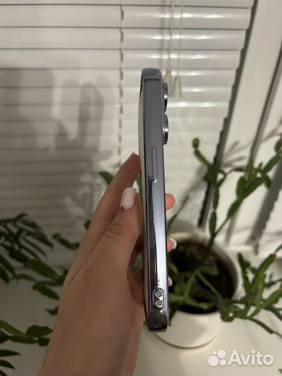Чезол на iPhone 14 Pro