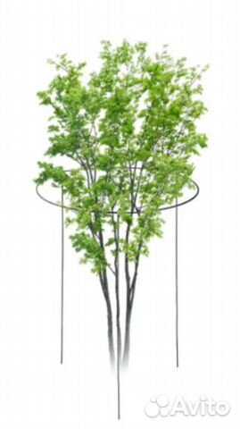 Кустодержатель стальной, опора для растений