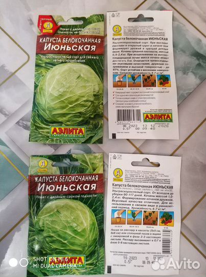 Семена капусты белокочанной