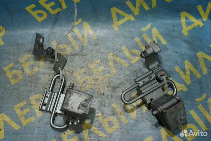 Петли двери задние Volkswagen Passat B5+