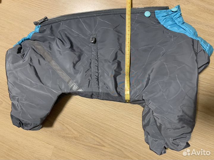 Одежда для собак