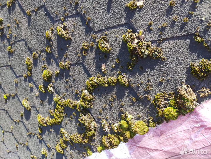 Мойка кровли, Очистка мха, Чистка водостоков