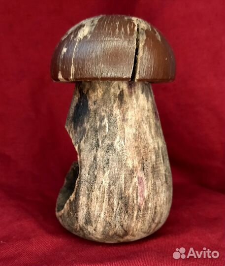 Старинный гриб орехокол