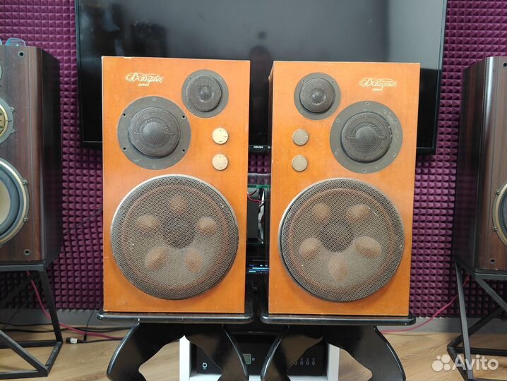 Акустическая система Victor SX-10 Spirit