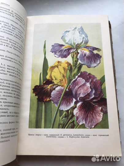Книга-Цветоводство. 1949г