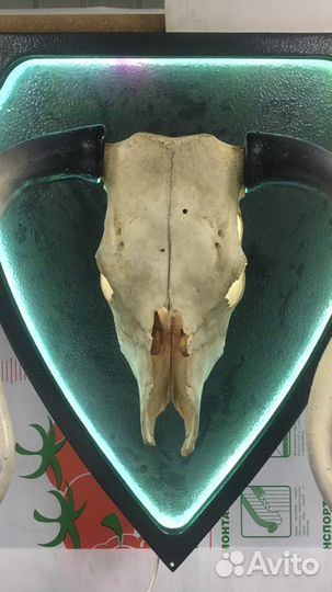 Светильник настенный светодиодный