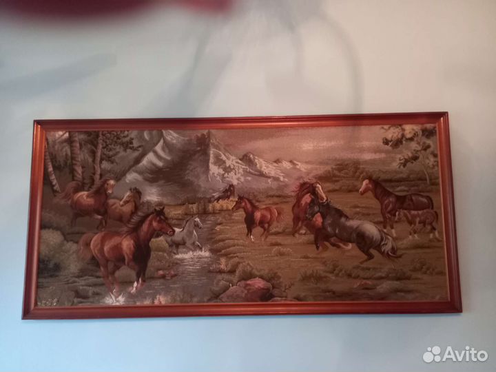 Циперус папирус