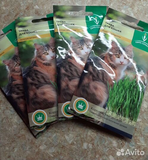 Трава для кошек