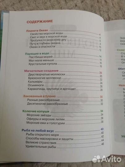 Детская энциклопедия росмэн