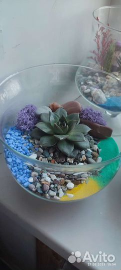 Готовые Флорариумы