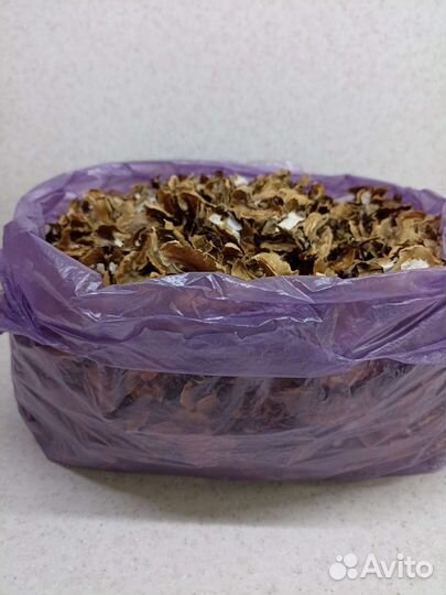 Перегородки грецких орехов