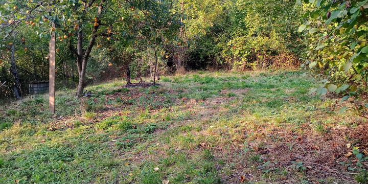 Дом 150 м² на участке 6 сот.