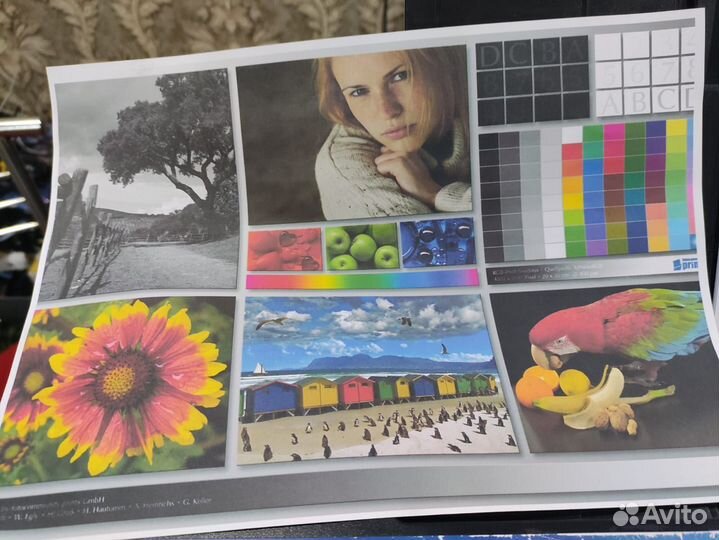Принтер epson l1800