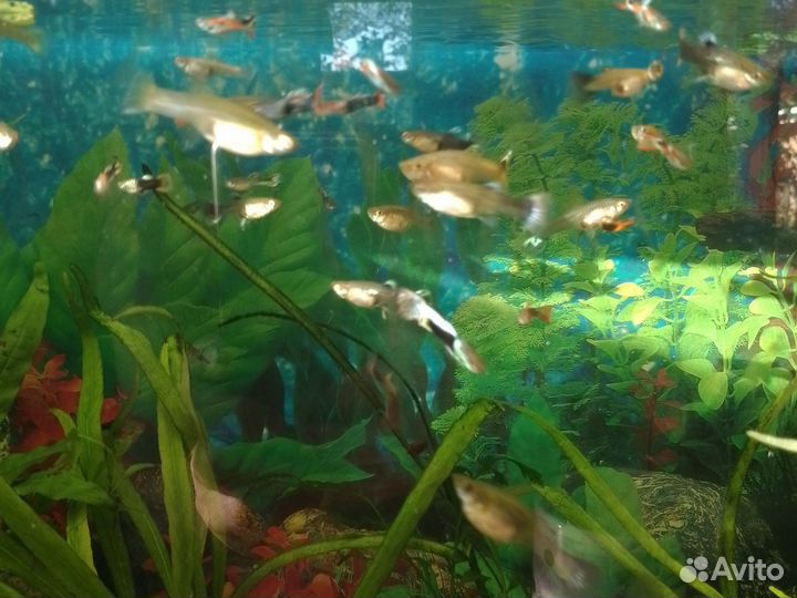 Фильтр для воды