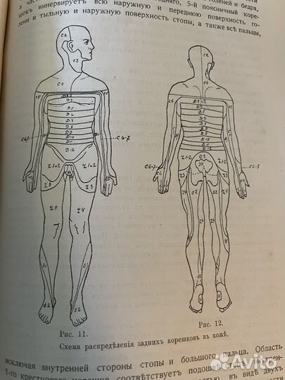 Книга Бехтерев В. Общая диагностика болезней 1911