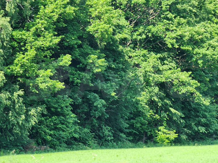 Участок 9,3 сот. (ИЖС)