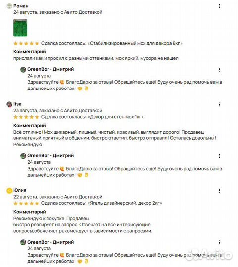 Вечно живой мох для декора помещений интерьер спил