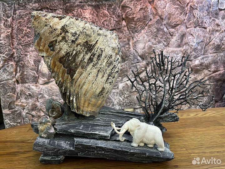 Палеонтология. Авторская работа. Зуб мамонта