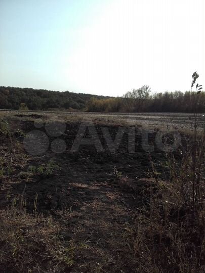 Дом 35 м² на участке 20 сот.