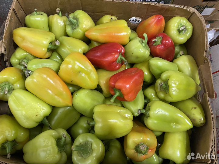 Перец сладкий