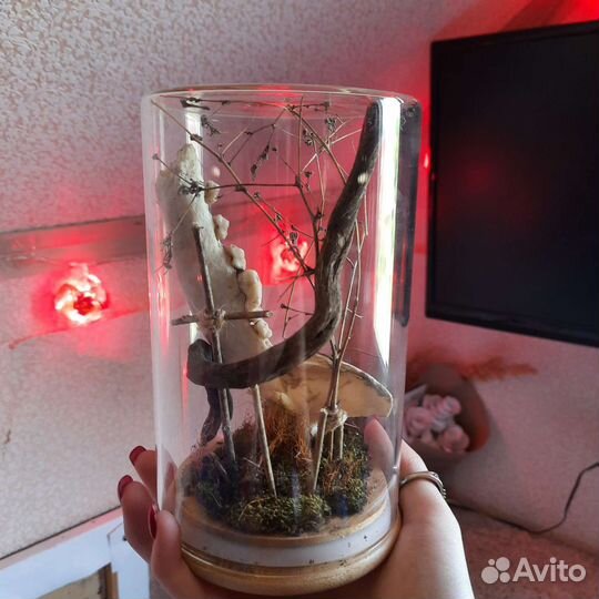 Колба с композицией внутри