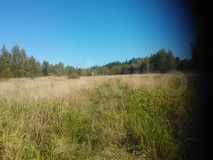 Участок 10 сот. (СНТ, ДНП)