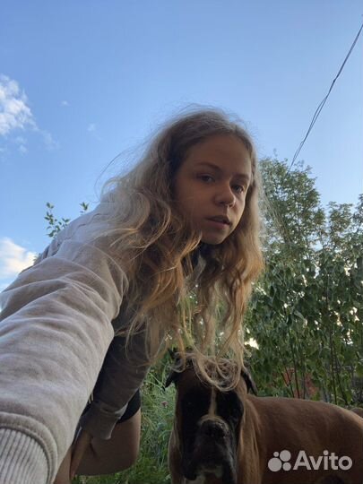 Выгульщик собак