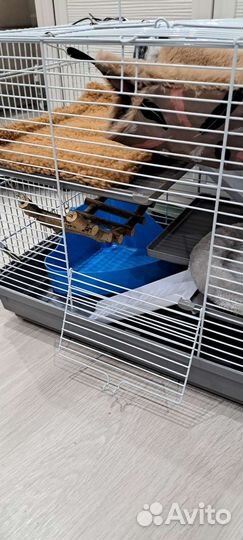 Клетка для хомячка