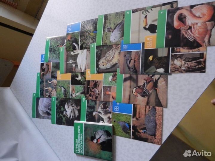 Набор открыток Птицы московского зоопарка 1988 г