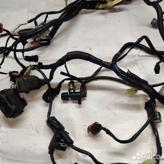 Коса проводка honda cbr 1000 rr 06