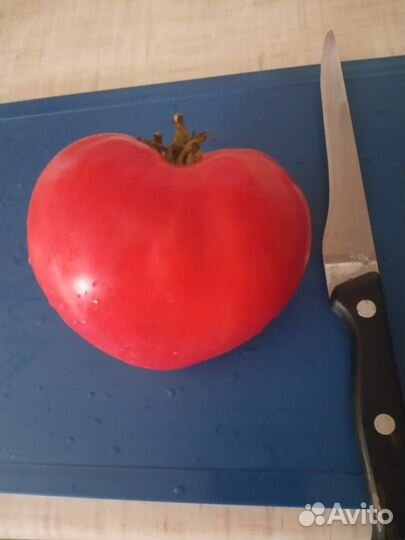 Семена томатов (40 сортов) часть 2