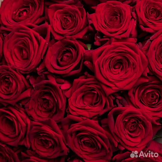 Букет из роз, цена реальная