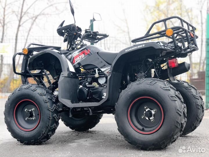 Квадроцикл Rato Hammer-200S