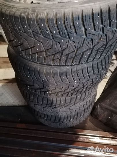 Kormoran Winter C S20 16 R55 20