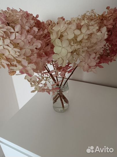 Гортензии для зимнего букета