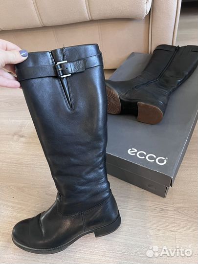 Сапоги женские Ecco 36