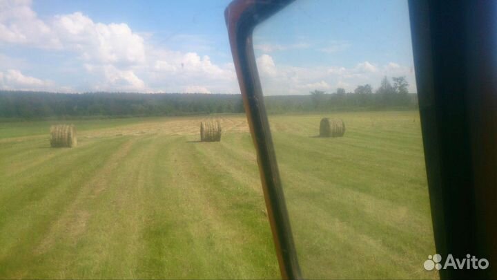 Сено луговое в тюках