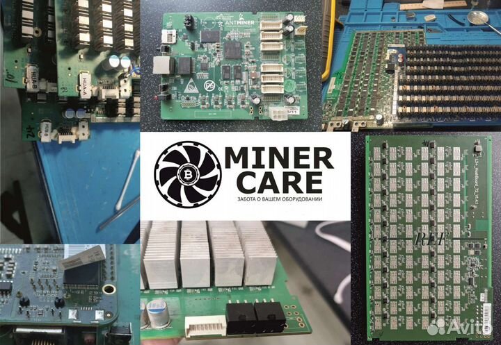 Обслуживание Canaan Avalon Miner