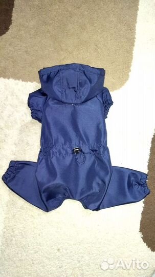 Одежда для маленькой собаки